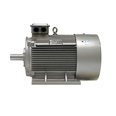 380V IP55 Class F IM B3 AC Asynchronous Motor Energy Saving
