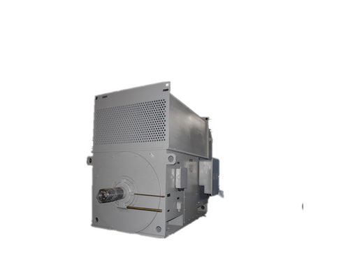 YKK 5002-2 IP54 Three Phase High Voltage AC Motor 1000kW 6kV