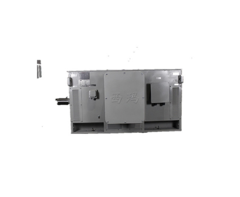 IP23 High Efficiency 3 Phase Induction Motor Y 3551-2 220kW 6kV