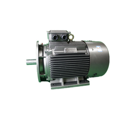IMB3 Low Voltage 3 Phase Motor YE3 315L-4 185kW Asynchronous Electric Motor