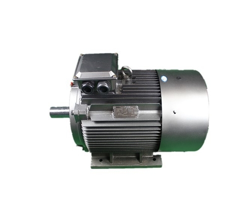YE3 315L1-4 160kW 380V Low Voltage 3 Phase Motor Class F IP55