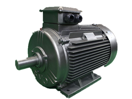 YE4 80M1-2 0.75KW LV Three Phase Asynchronous Motor IC411 Cooling
