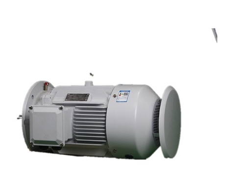 YE3 280S-2 75KW Variable Frequency AC Asynchronous Motor H80 H355 Frame