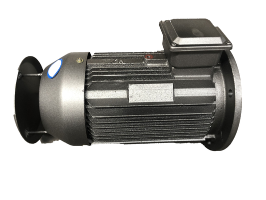 Simo 37KW 67.4A IP55 Variable Frequency Asynchronous AC Motor YE3 200L2-2