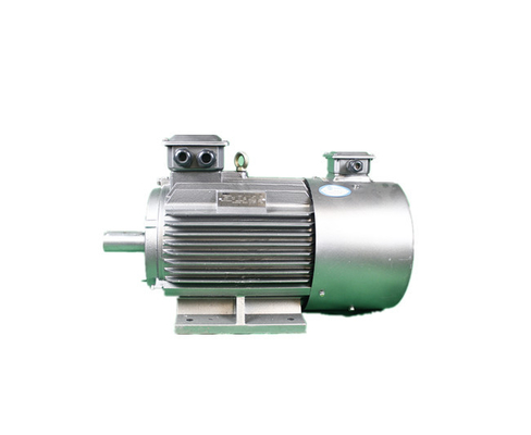 92.4% High Efficiency 3 Phase Induction Motor YVFE3 160L-2 18.5kW