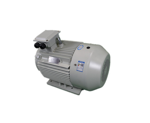 YE3-315M-2 Three Phase Asynchronous Motor 132KW 380V IP55 Class F-IM B3