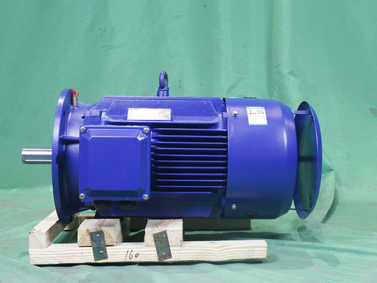 YE3-160L-6-11-380V-IP55-Class F-IM B3 Asynchronous Motor 3 Phase Variable Frequency