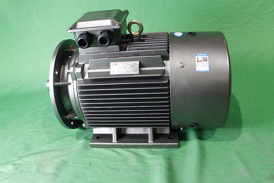 YE3 200L1 6 18.5 380V IP55 AC Asynchronous Motor High Efficiency LV Variable Frequency