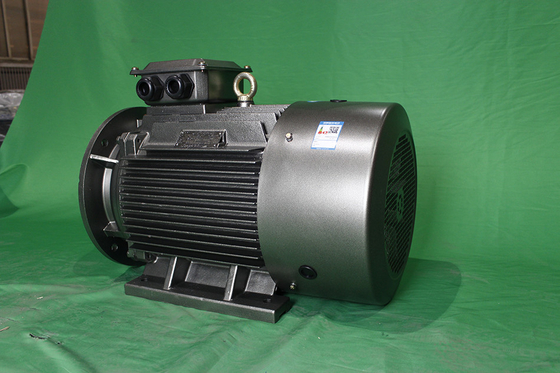YE3-200L2-6-22-380V-IP55-Class F-IM B3 Asynchronous Electric Motor LV