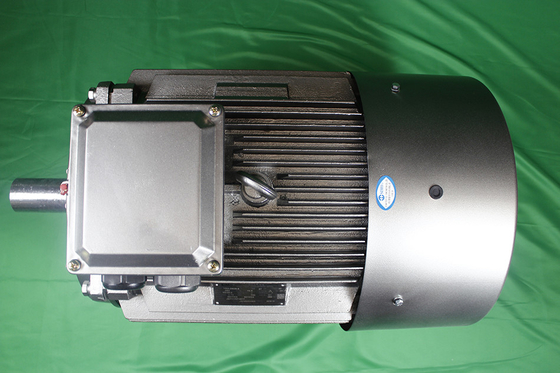 YE3-225M-6-30-380V-IP55-Class F-IM B3 LV AC Asynchronous Motor High Efficiency