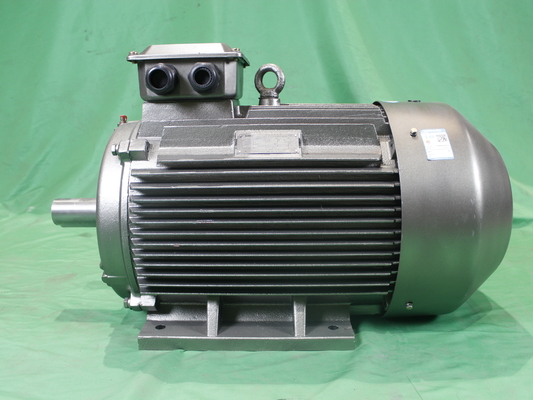 YE3 315L2 6 Pole Class F Asynchronous Electric Motor 3 Phase 132kW IP55