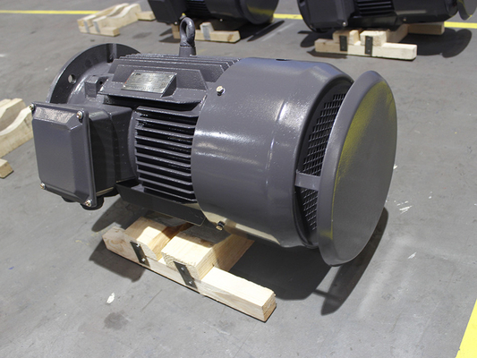 YE3 355L 6 Pole Class F 3 Phase Asychronous Motor 250kW IP55