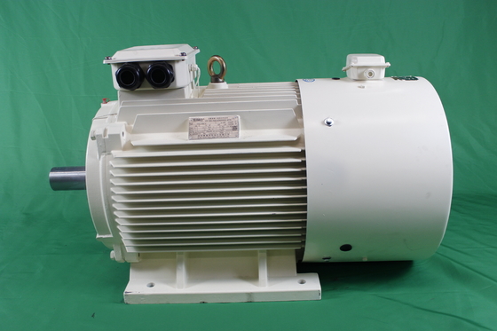 YVFE3 280S-2 75kW IP55 380 Volt Variable Frequency Motor 2980RPM