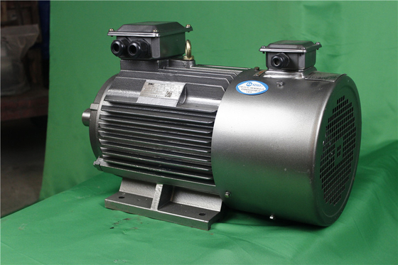 YVFE3 315S-2 110 kW 380V 2P Variable Frequency Motor 2975RPM