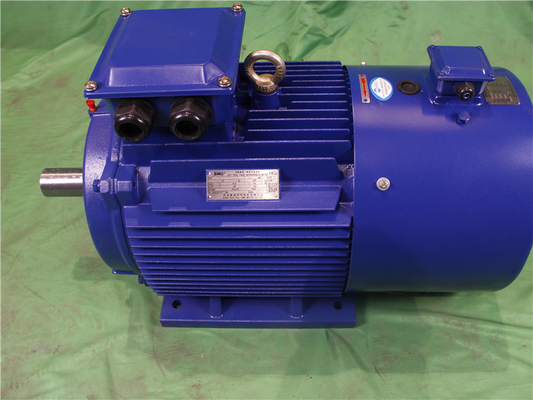 YVFE3 315L-2 185kW 380V Low Voltage Variable Frequency Motor 2975RPM