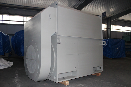 6kV IP54 HV Three Phase AC Motor 1485 RPM AC Asynchronous Motor
