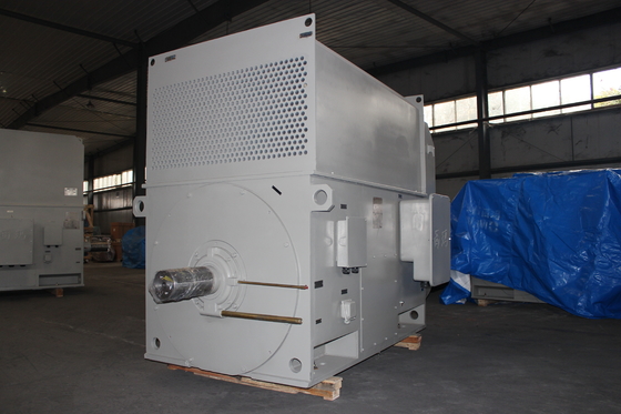 Class F IM B3 3 Phase Asynchronous Induction Motor High Voltage