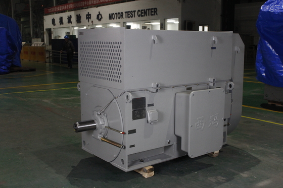 High Efficiency 1490RPM AC Asynchronous Motor 6kV IP54 Class F