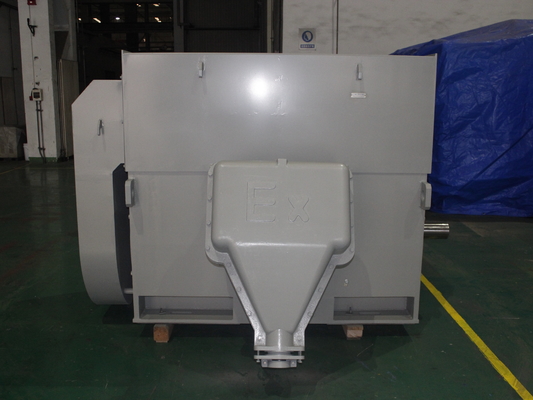 IP44 IP54 IP55 HV Asynchronous Motor 3 Phase 500kW