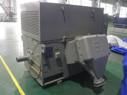 3KV 6KV 6.6KV 10KV Three Phase Asynchronous Motor 1485RPM
