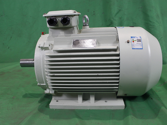 YE3 90S-6 Class F AC Asynchronous Motor 0.75kW IP55